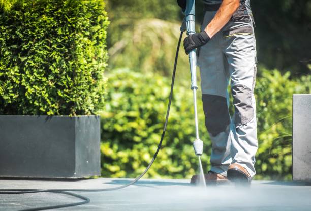 Best Concrete Sealing  in Edinburg, VA