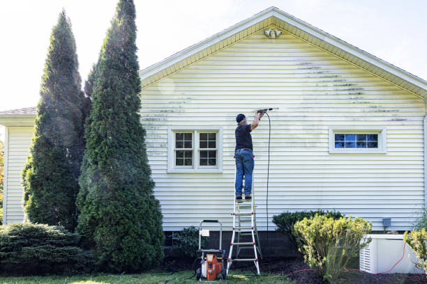Paint Preparation in Edinburg, VA